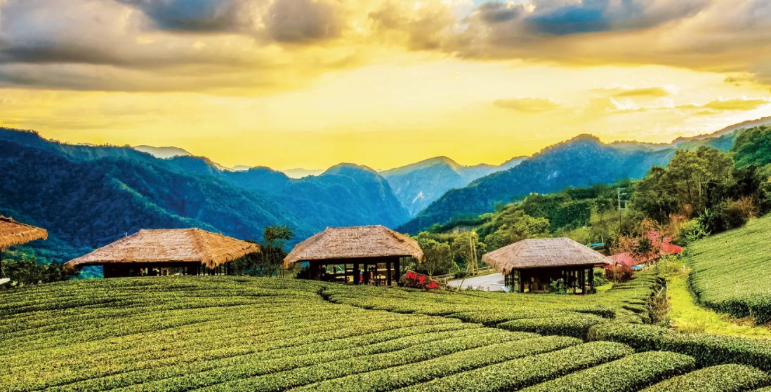 优游吧斯（邹族文化部落）园区门票