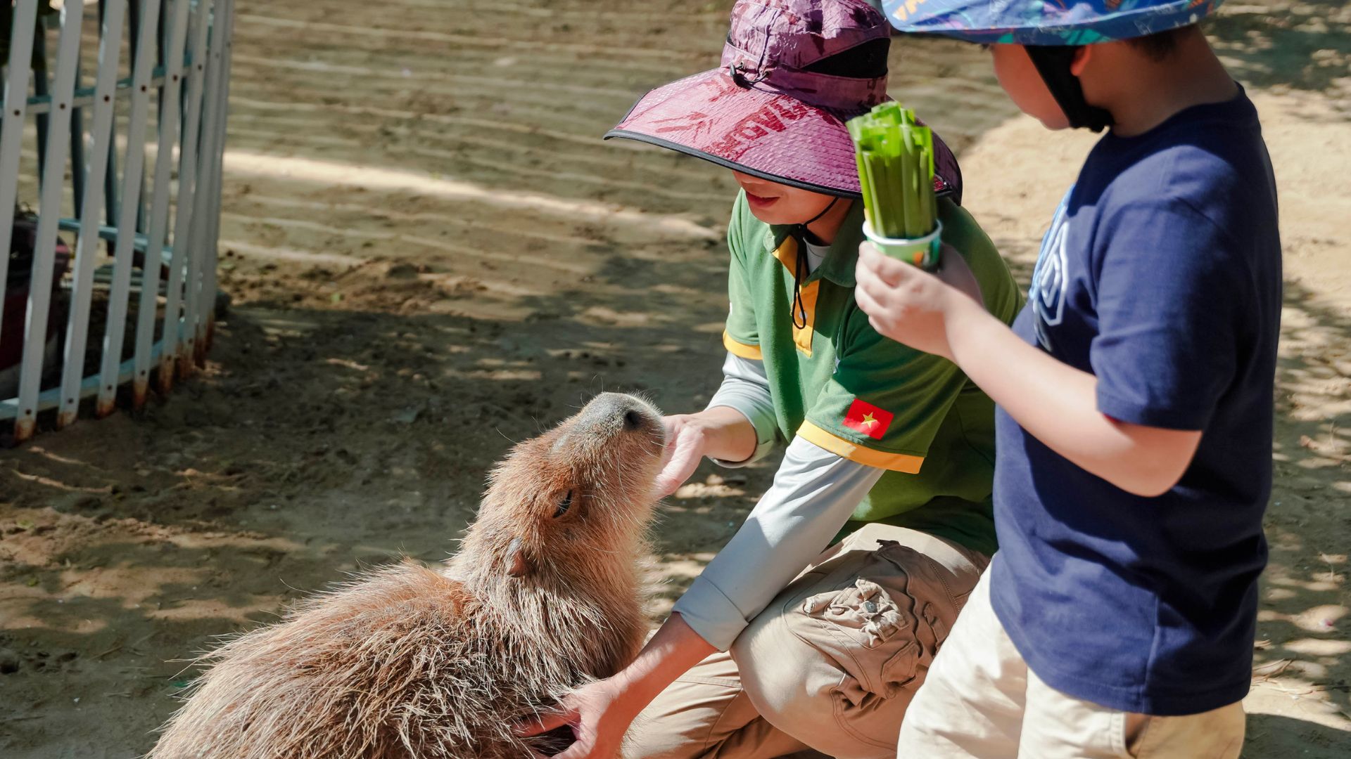 潘郎Tien Tien Farm农场 & 动物园门票