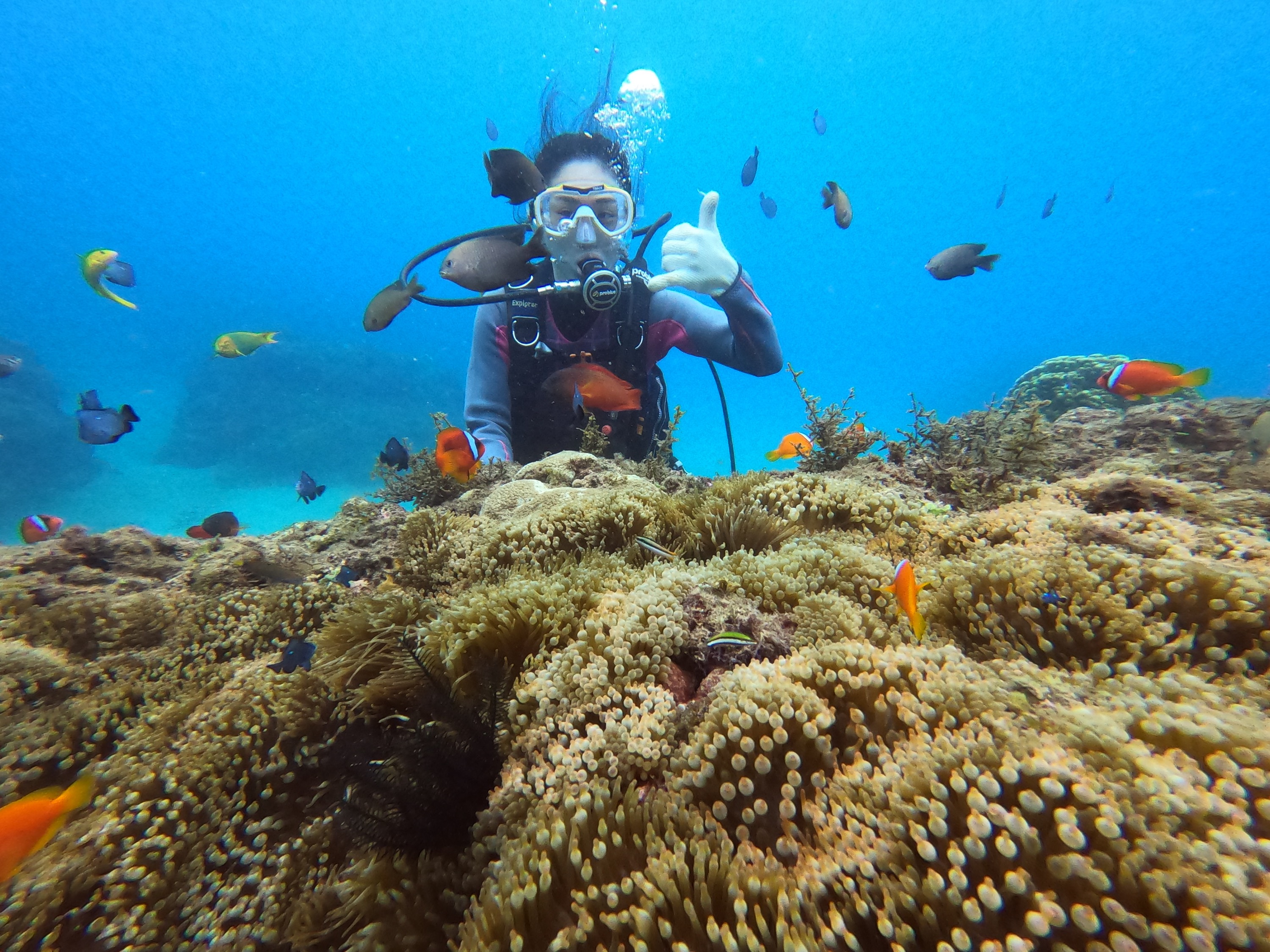 屏东｜垦丁万里桐海边水上育乐行｜潜水体验・进阶浮潜