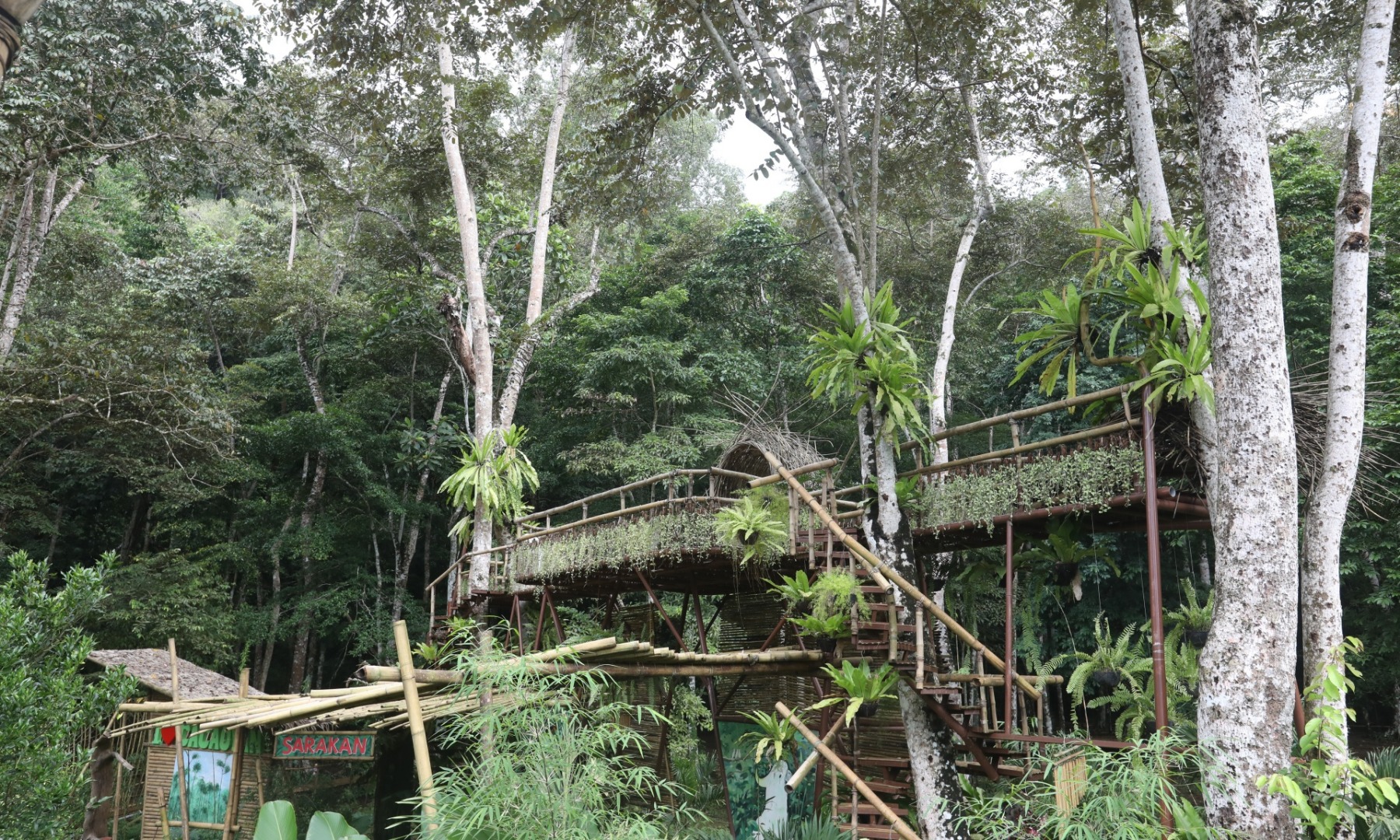 巴拉望 Cacaoyan 森林公园门票＆午餐