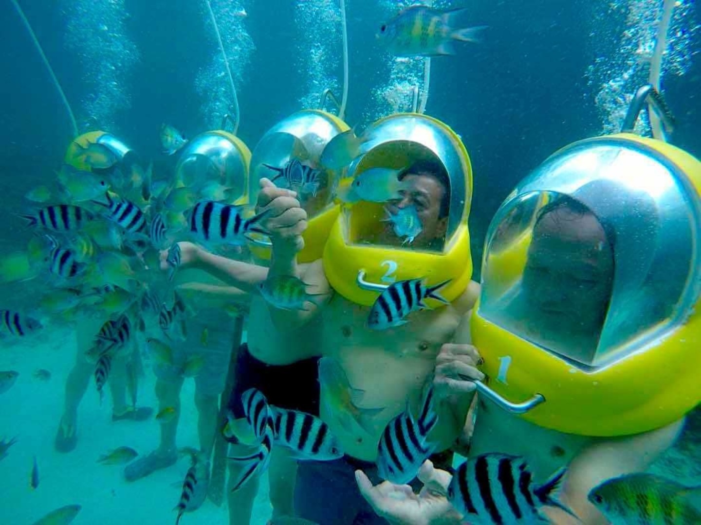 仙本那海底漫步体验