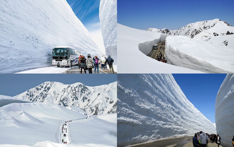 2天1夜 立山黑部阿尔卑斯山脉路线＆白川乡＆高山市之旅