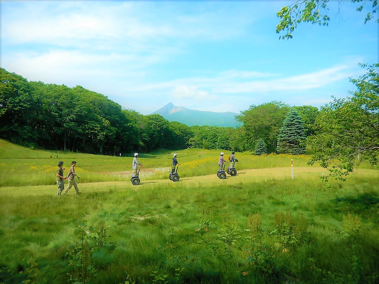 函馆大沼国定公园赛格威之旅