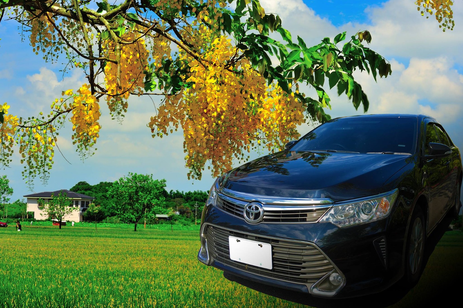 高铁包车接送｜台南高铁站 - 台南市区