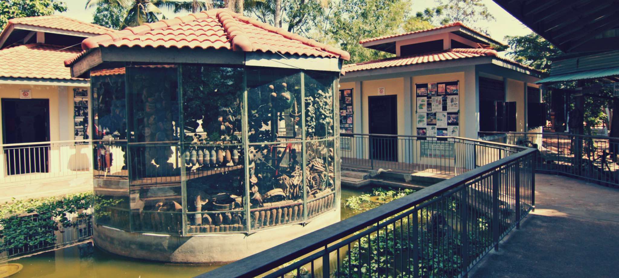 柬埔寨地雷博物馆＆蝴蝶园一日游（暹粒出发）