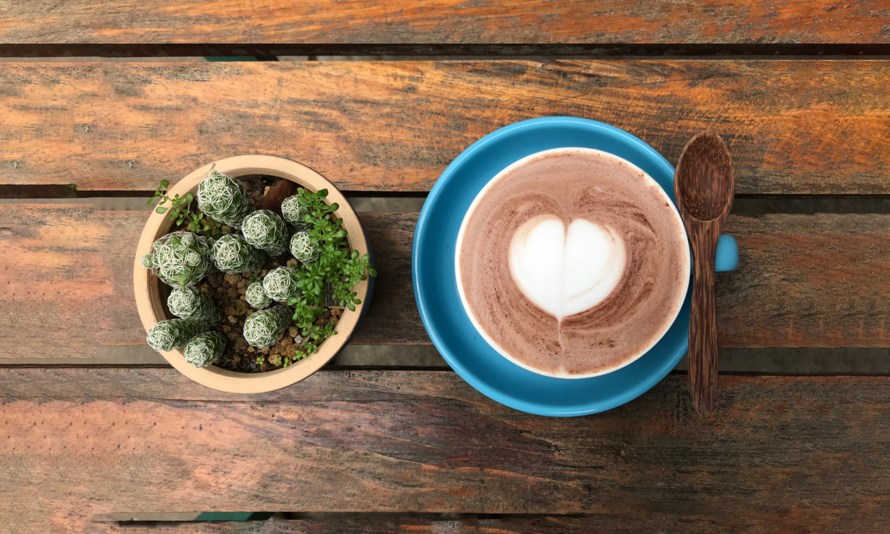 会安市区探索 & 越南咖啡品尝之旅