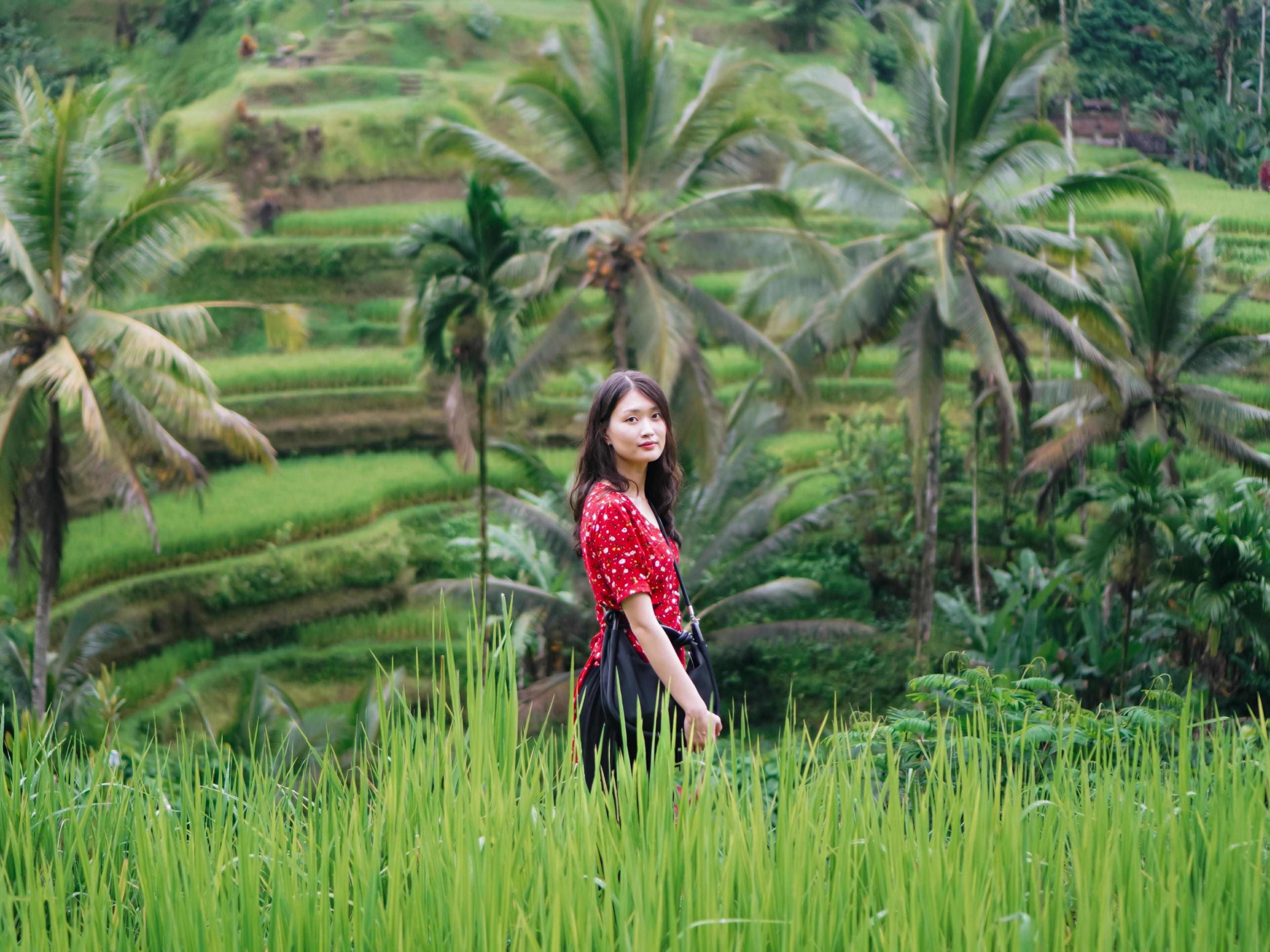 乌布Instagram景点私人全包一日游