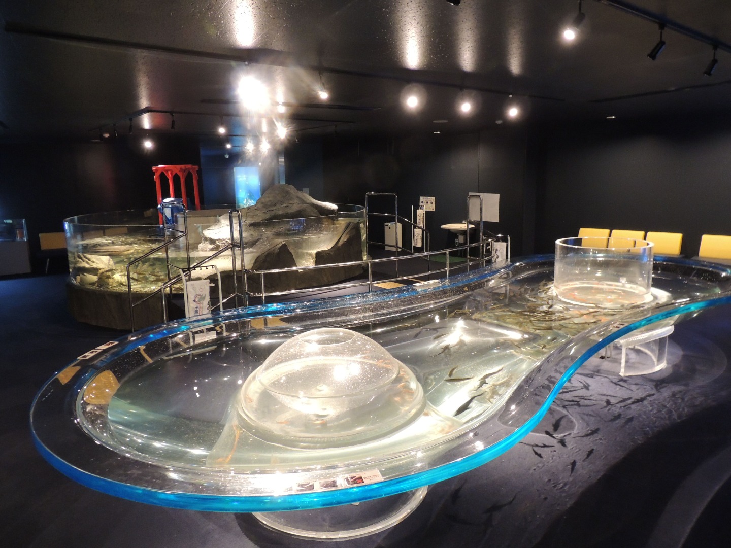 千岁水族馆门票