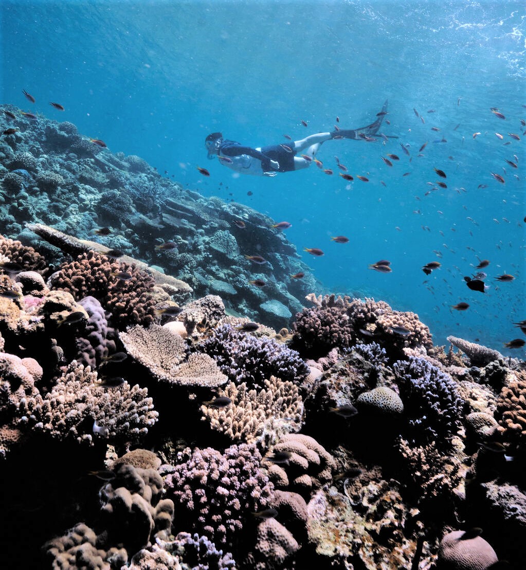 【那霸出发・中文教练】冲绳庆良间浮潜一日游｜那霸市区免费接送・赠送照片・少人数制