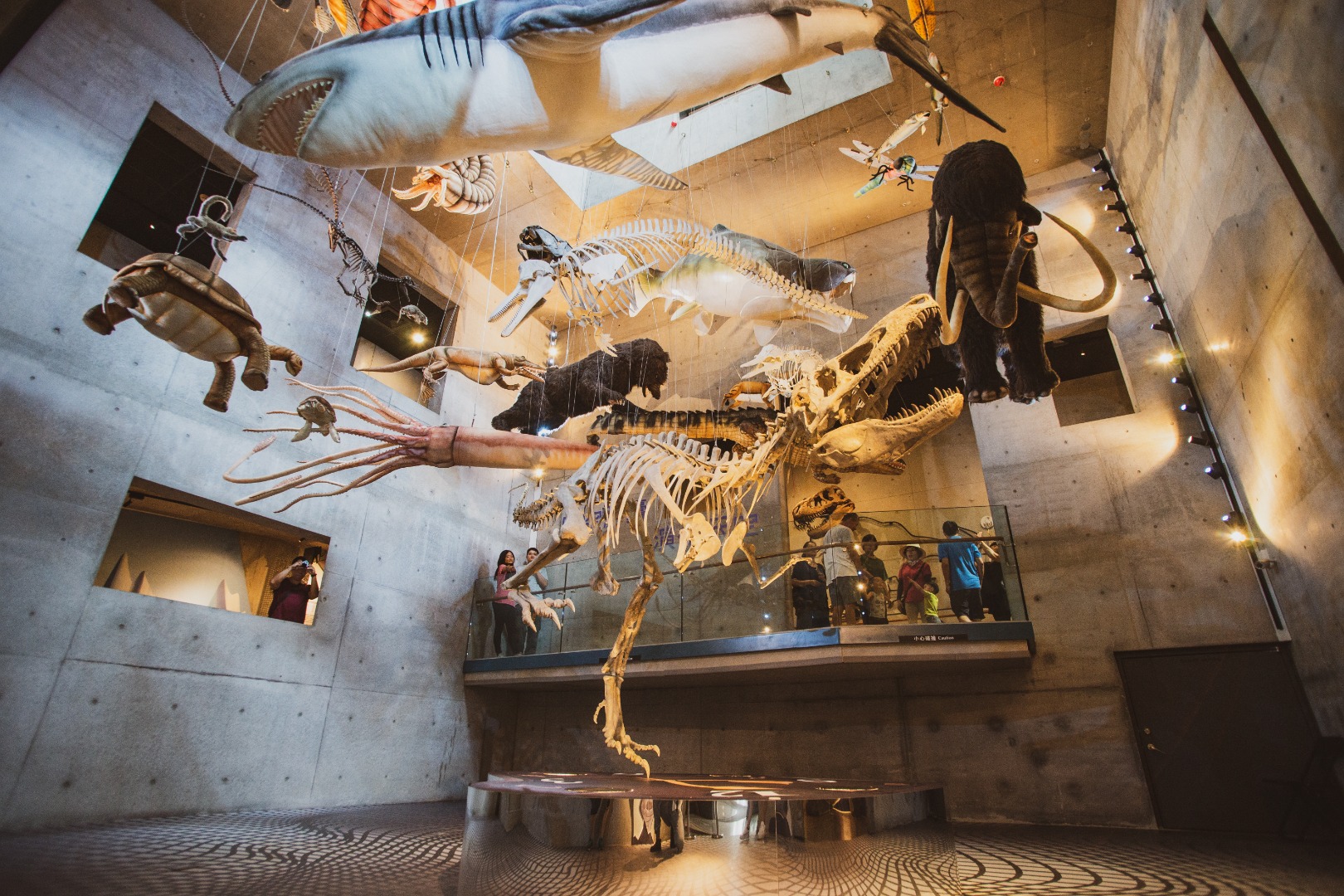 台南山线包车一日游：左镇化石园区、308高地、草山月世界包车热门景点