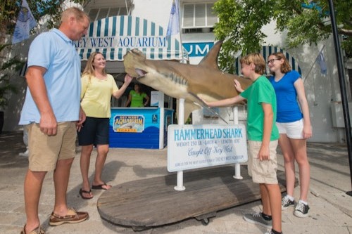 基韦斯特水族馆门票