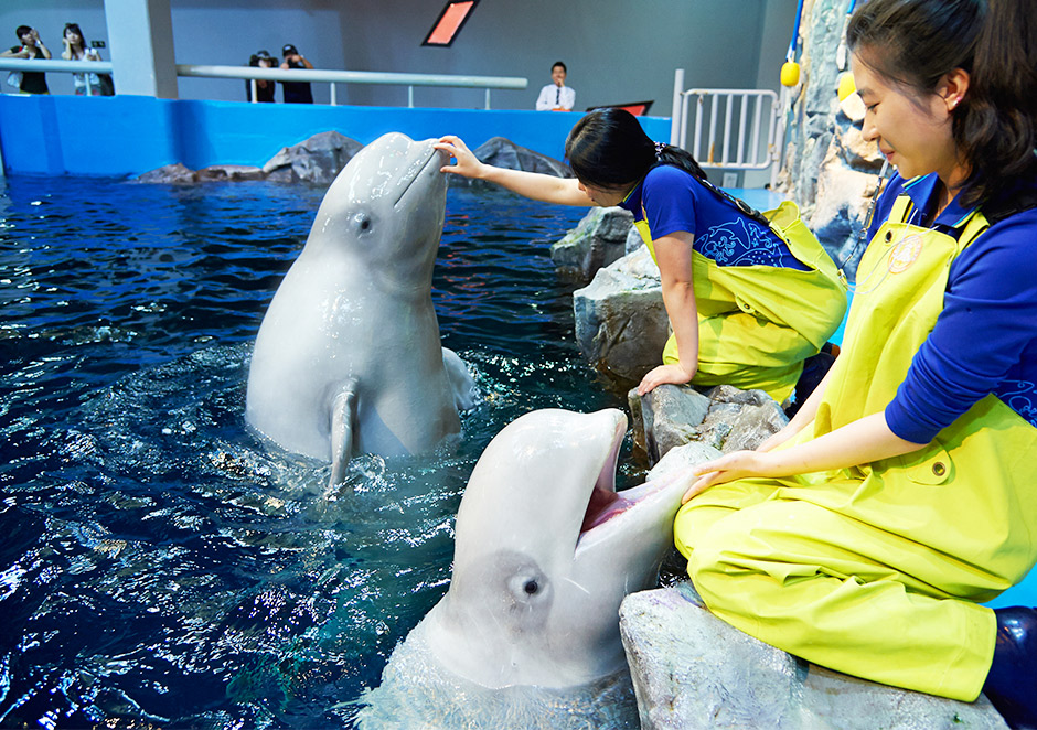 丽水Aqua Planet 水世界门票