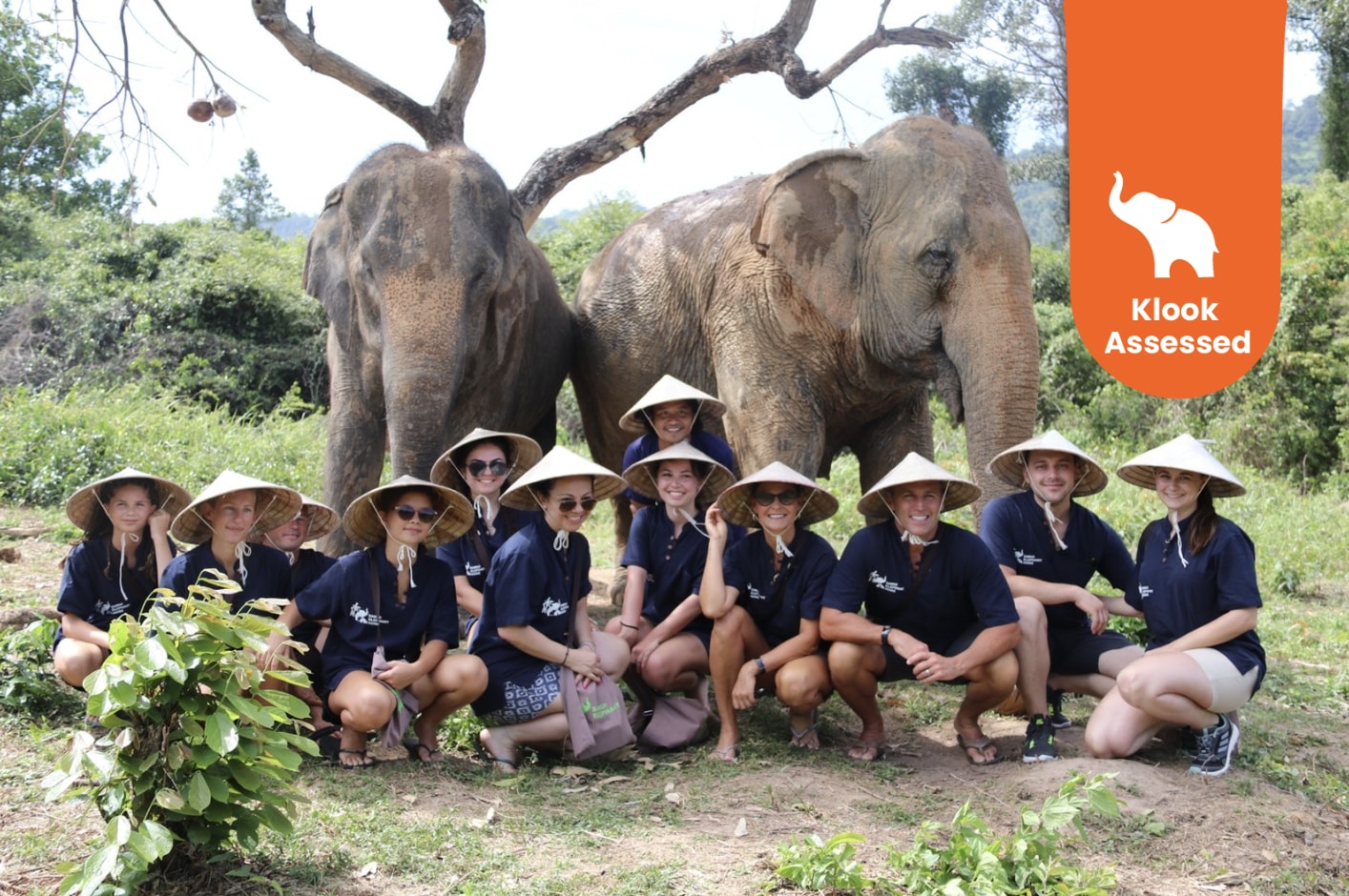 苏美岛大象照护半日游