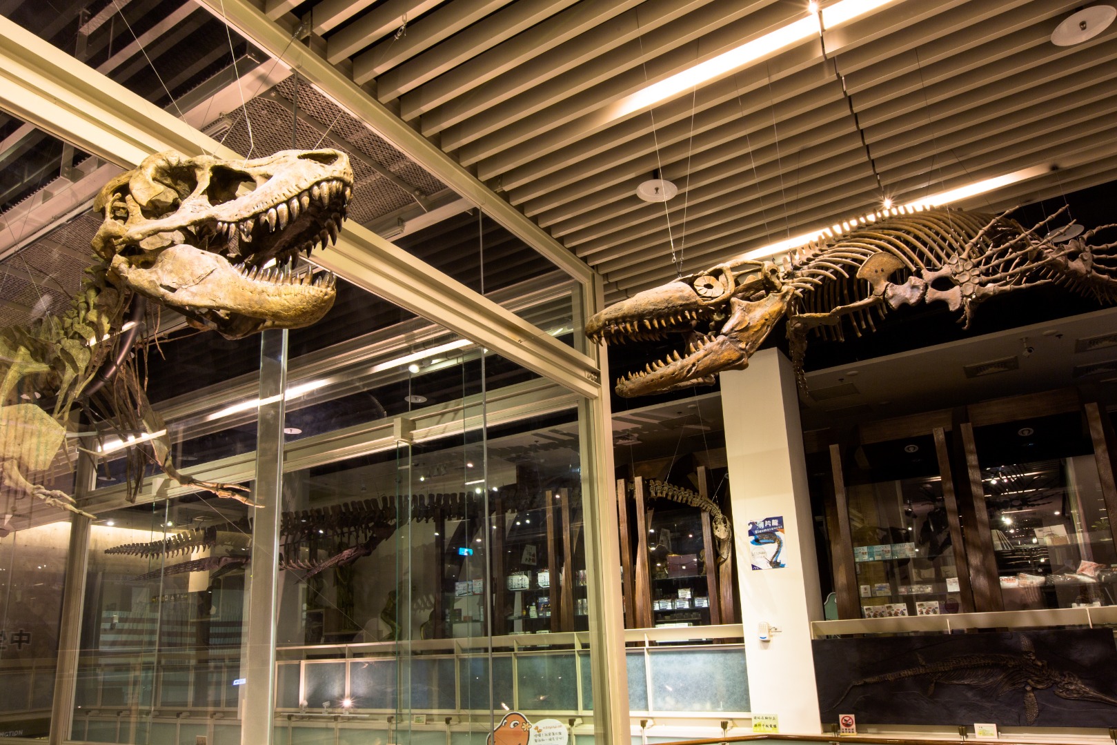 台南树谷生活科学馆：门票・恐龙游乐券