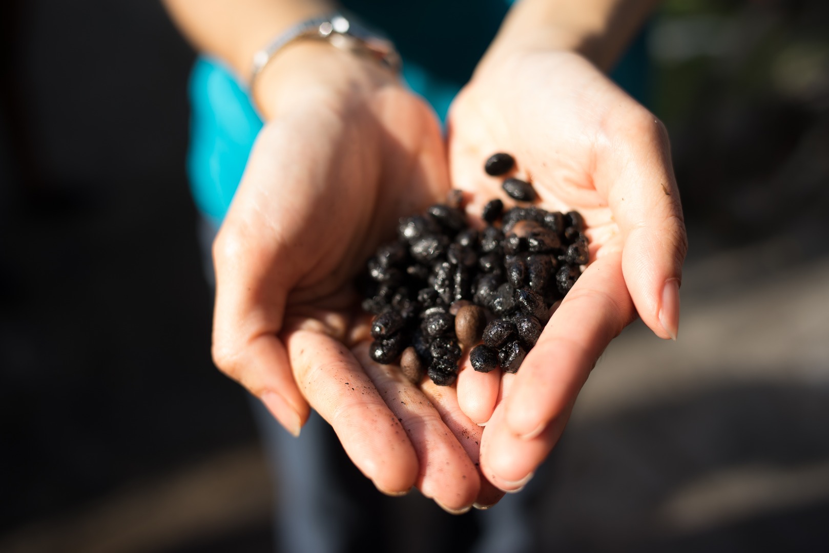 新加坡咖啡＆面包工厂之旅