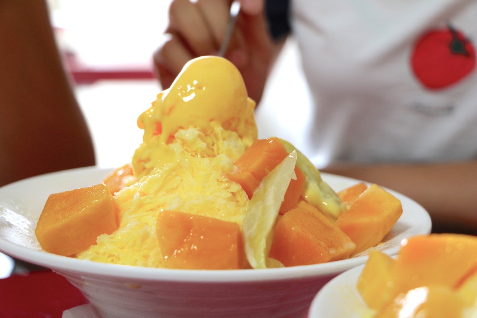 台南山线包车一日游：玉井芒果、梅岭梅子鸡、曾文水库包车热门景点（中／英 / 日语服务）