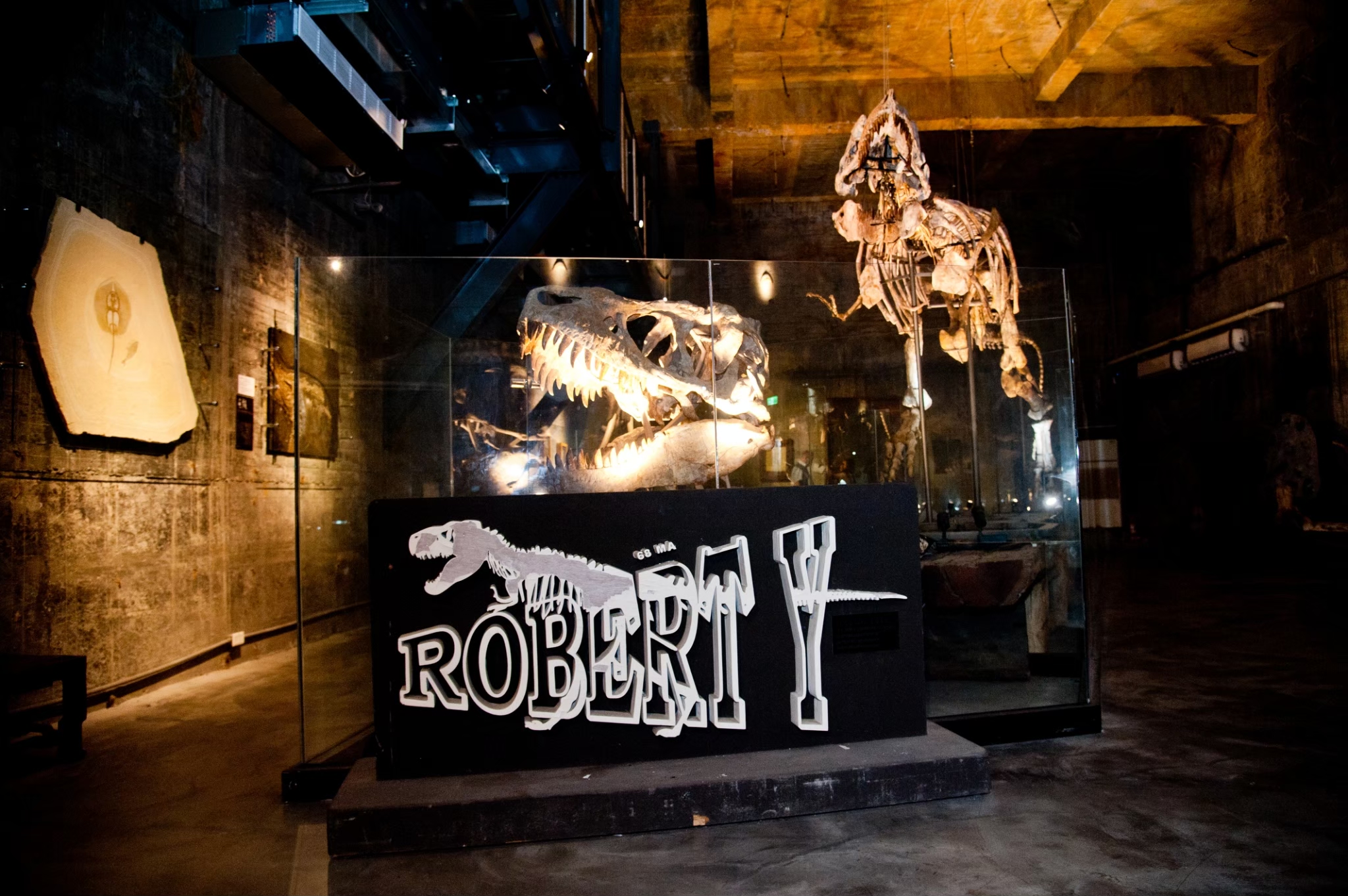 Robert Y 废墟暴龙馆门票