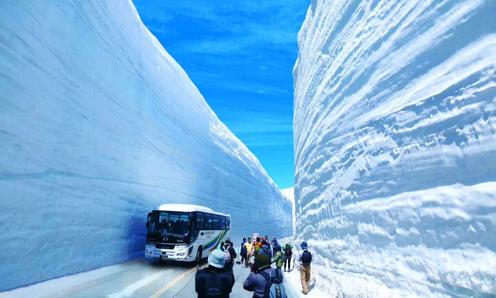 白川乡 & 高山 & 立山雪壁 2日游（大阪/名古屋出发）