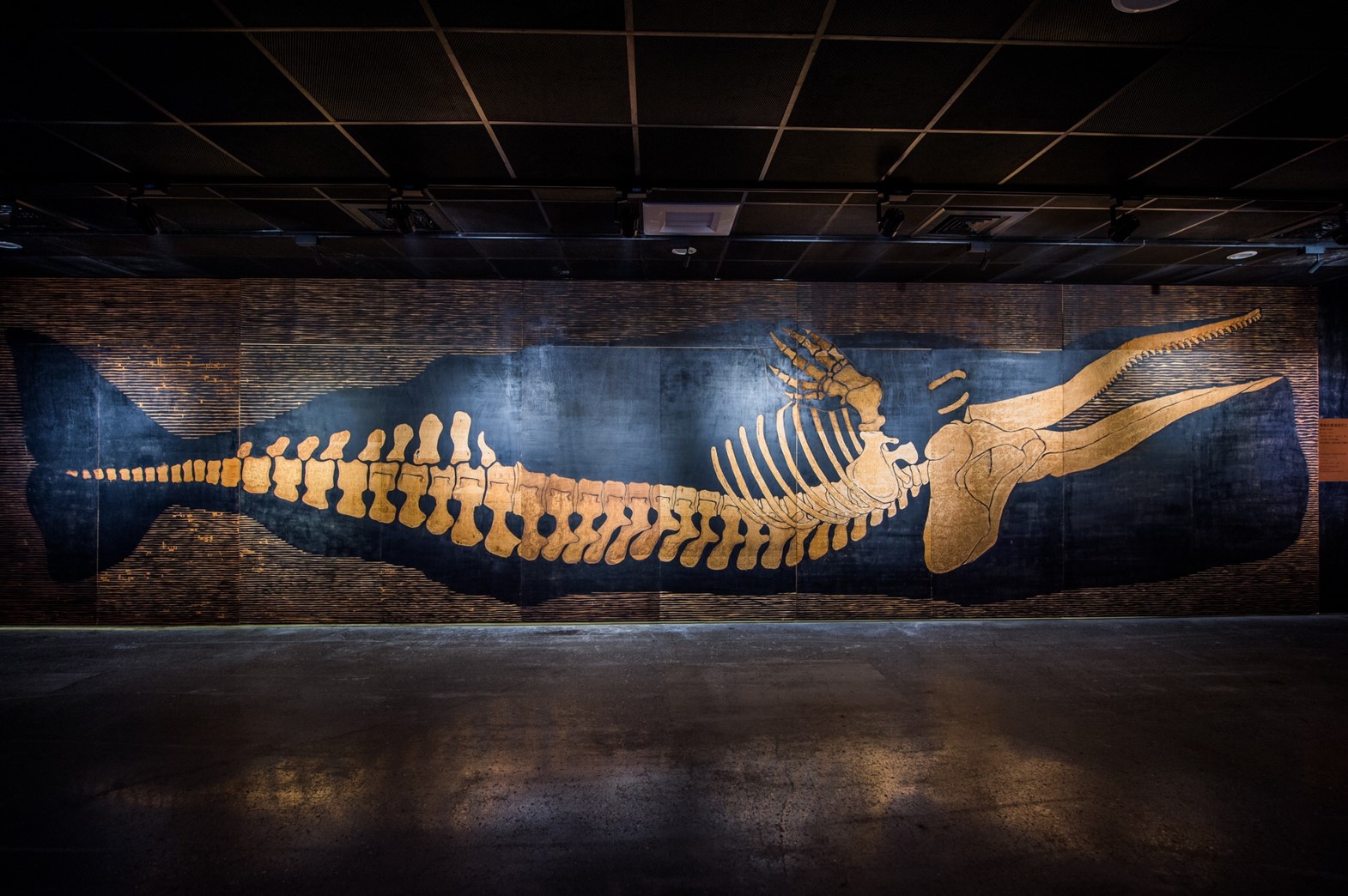 台南左镇化石园区门票