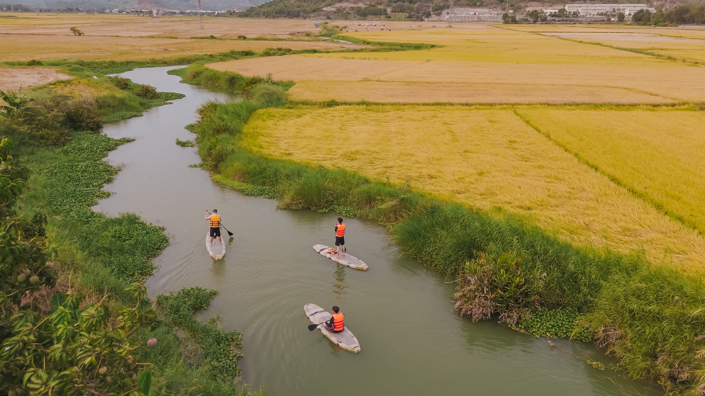 芽庄日落立式划桨SUP体验