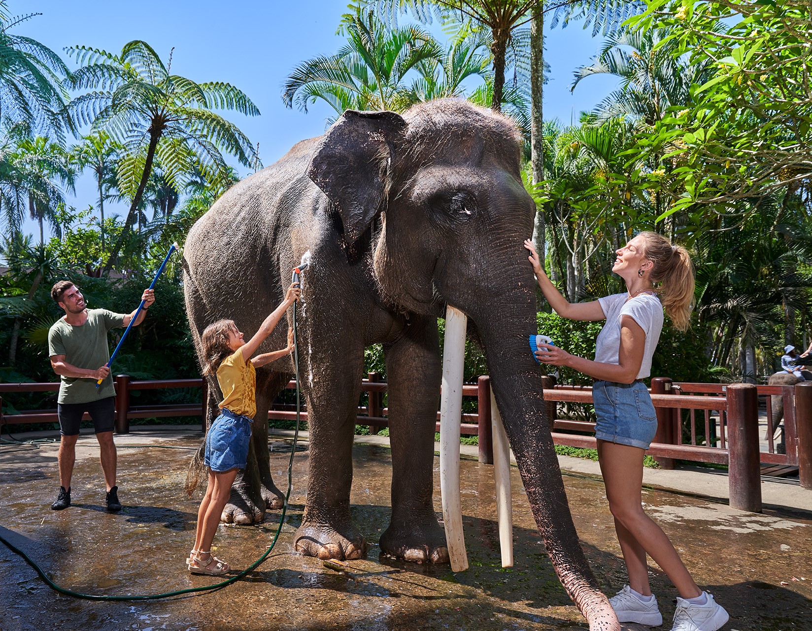 峇里岛玛森大象公园大象洗澡体验