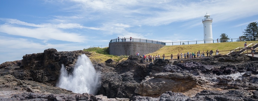 雪梨卧龙岗＆凯阿玛韩语导览一日游