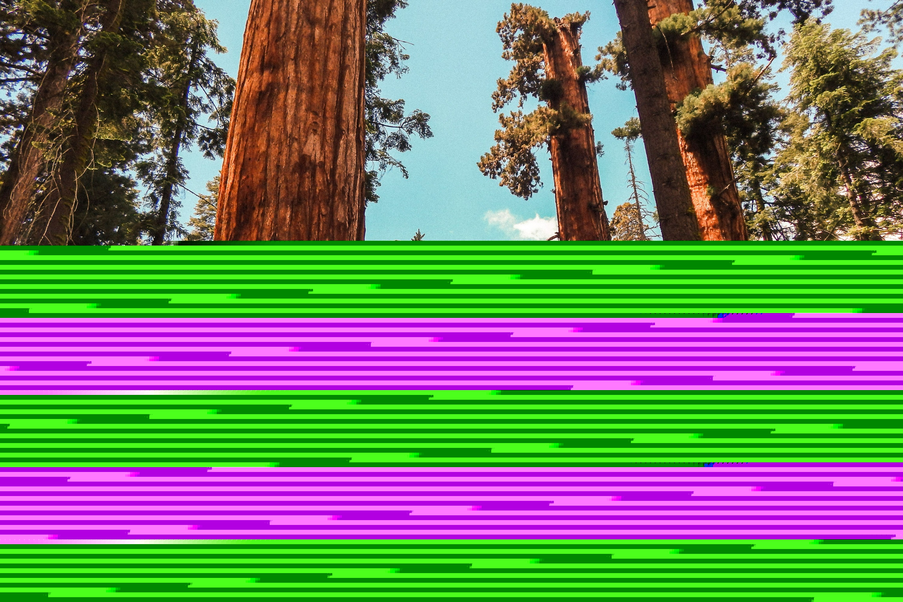 优胜美地国家公园3天2夜露营之旅（旧金山出发）