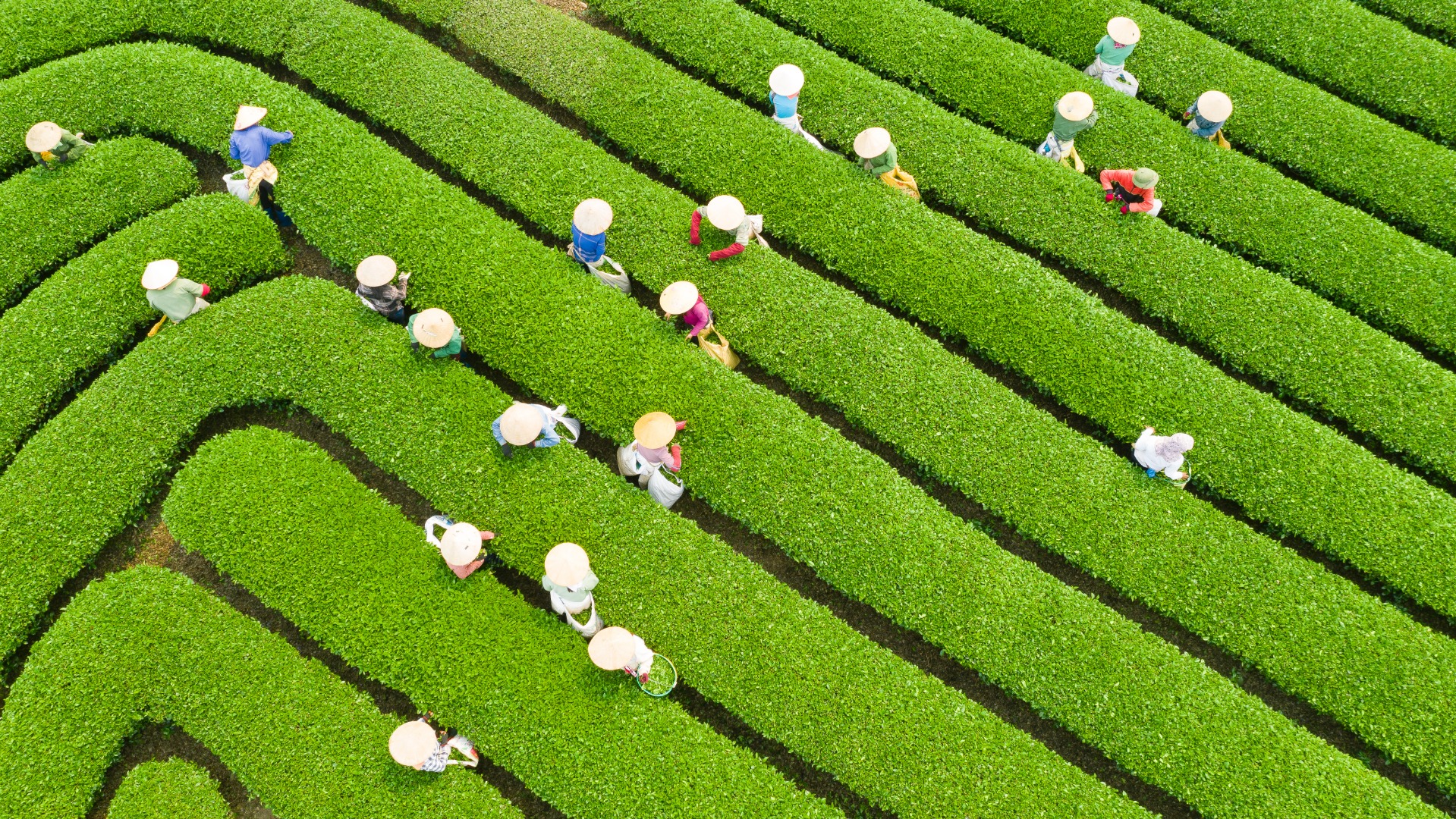 【越南语导游】木州2天1夜探索之旅（河内出发）