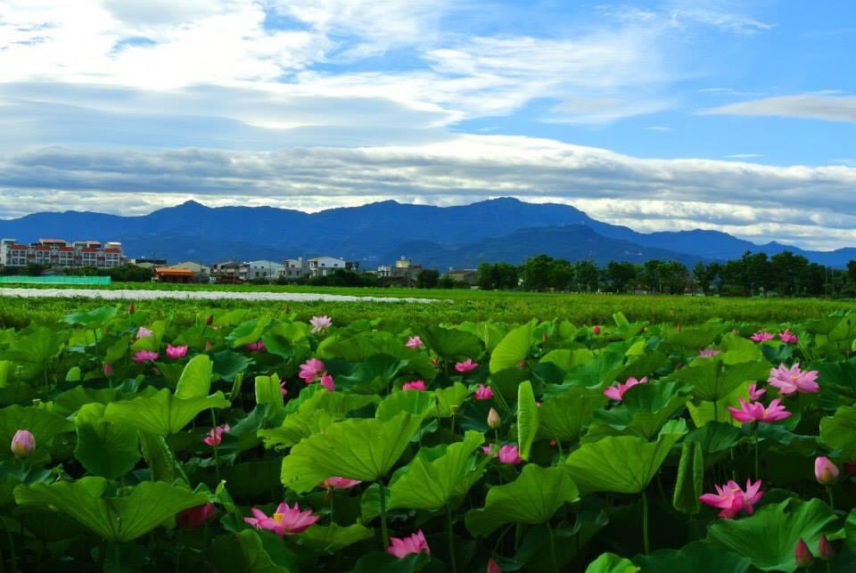 台南山线包车一日游：乌山头水库、关子岭温泉、白河莲花包车热门景点（中／英 / 日语服务）