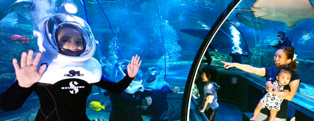 关岛海底世界水族馆海底漫步体验