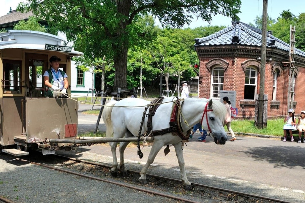 札幌家庭一日游（含当地导游）