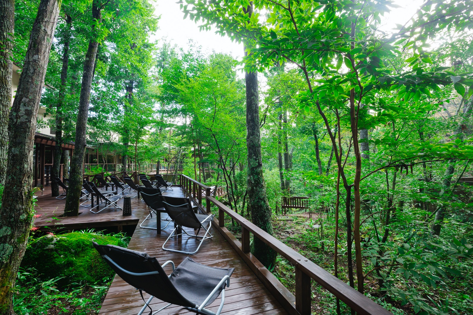 神奈川 Only Yu Hot Spring Resort 温泉体验