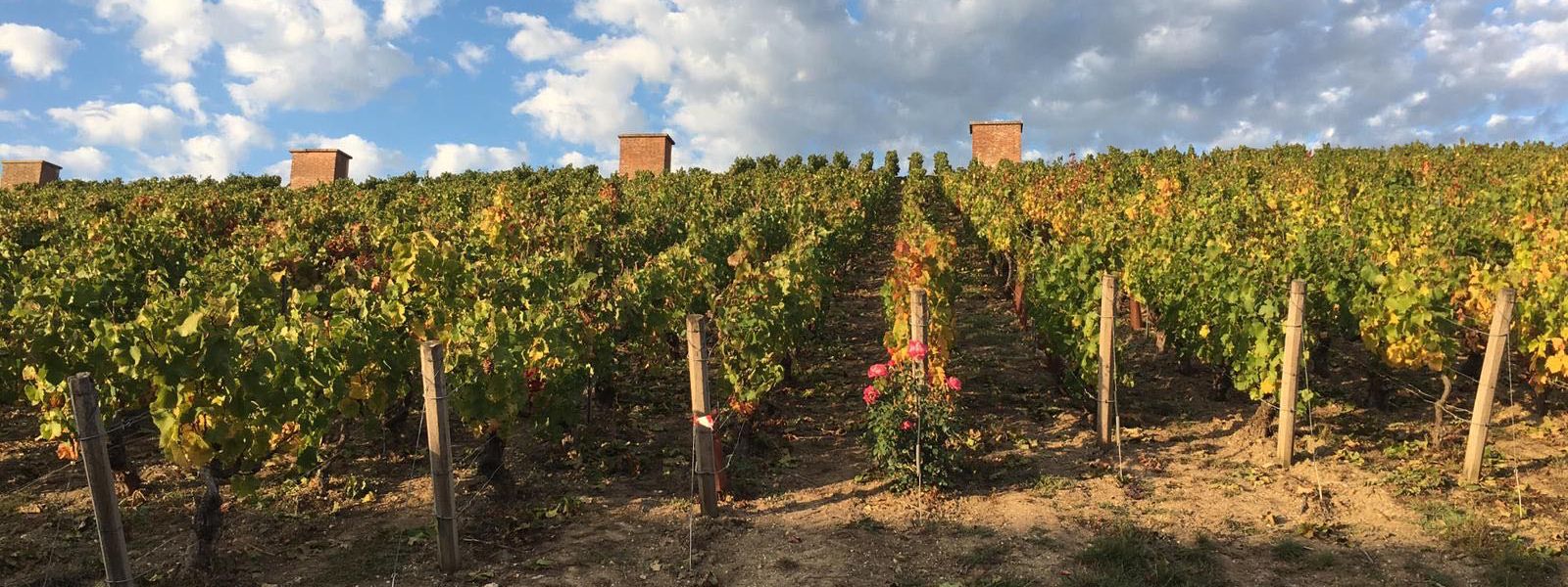 巴黎香槟品酒一日游（含午餐）