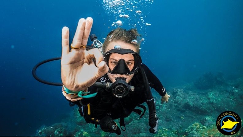 峇里岛土兰奔潜水半日游（Dive Concepts Bali 提供）