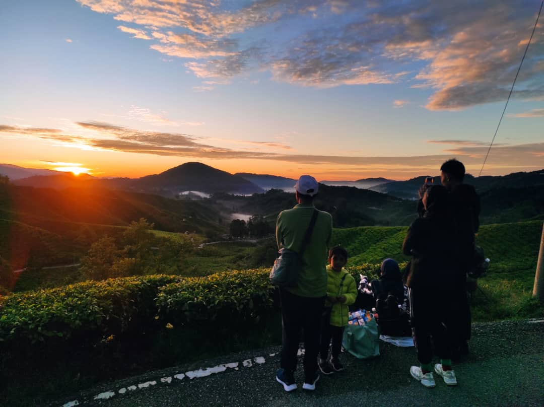 苔藓森林日出登山健行之旅