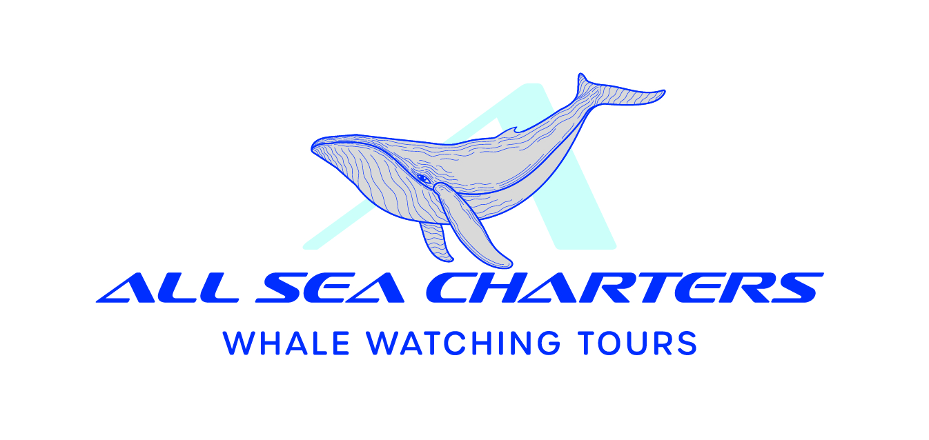 玛格丽特河＆巴瑟尔顿＆戴士柏赏鲸游船之旅