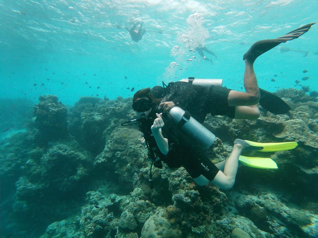 仙本那汀巴汀巴岛 & 马达京岛 & 邦邦岛水肺潜水体验