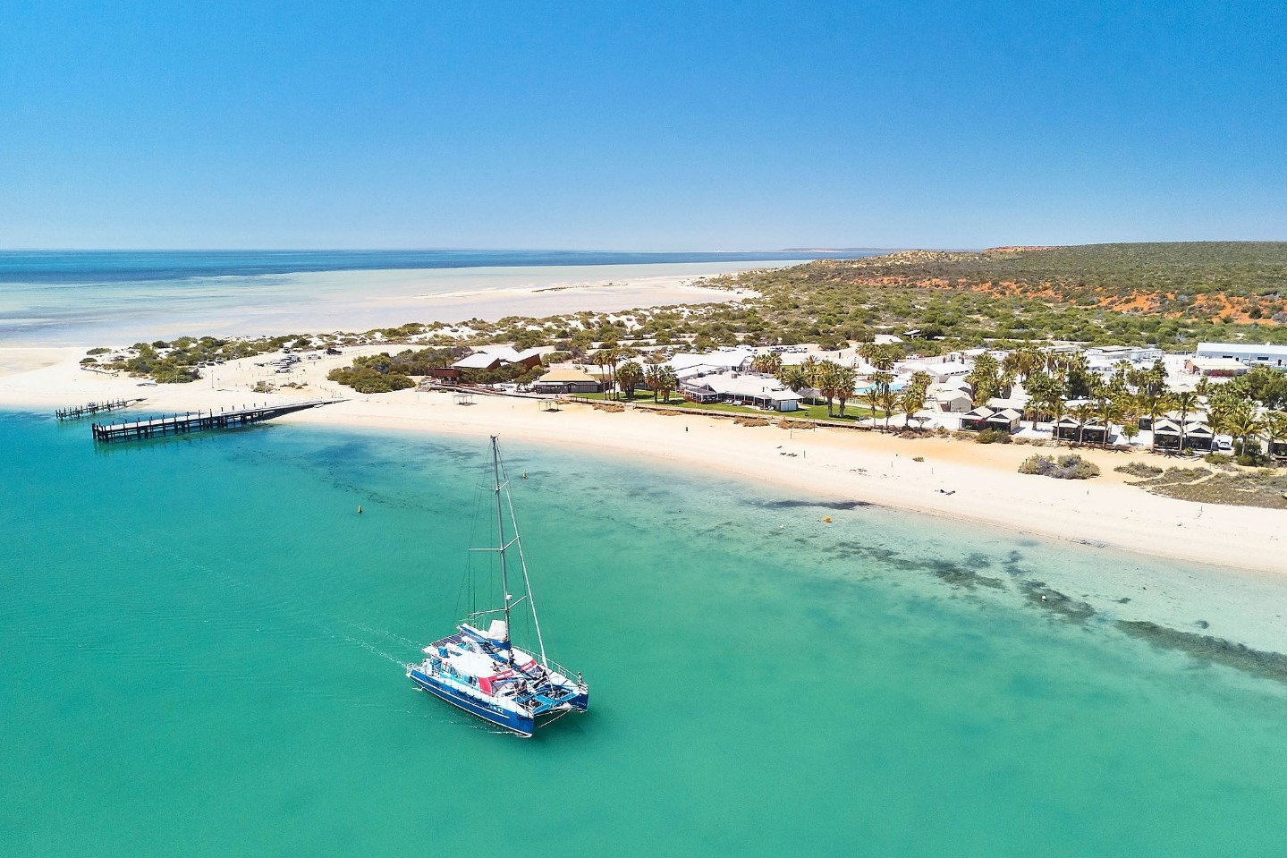 卡尔巴里 Monkey Mia 野生海豚互动半日游