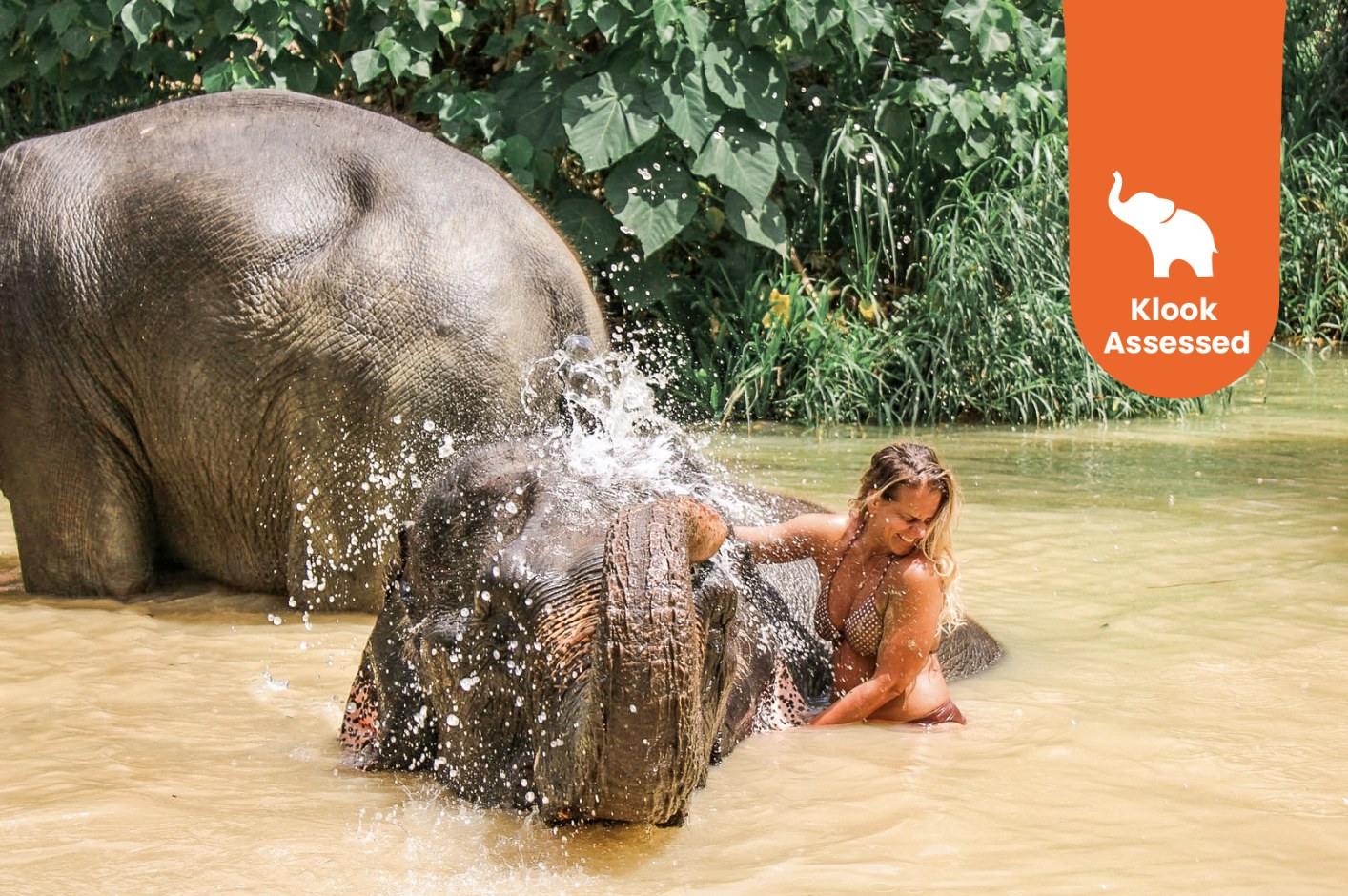奥南大象保护区体验
