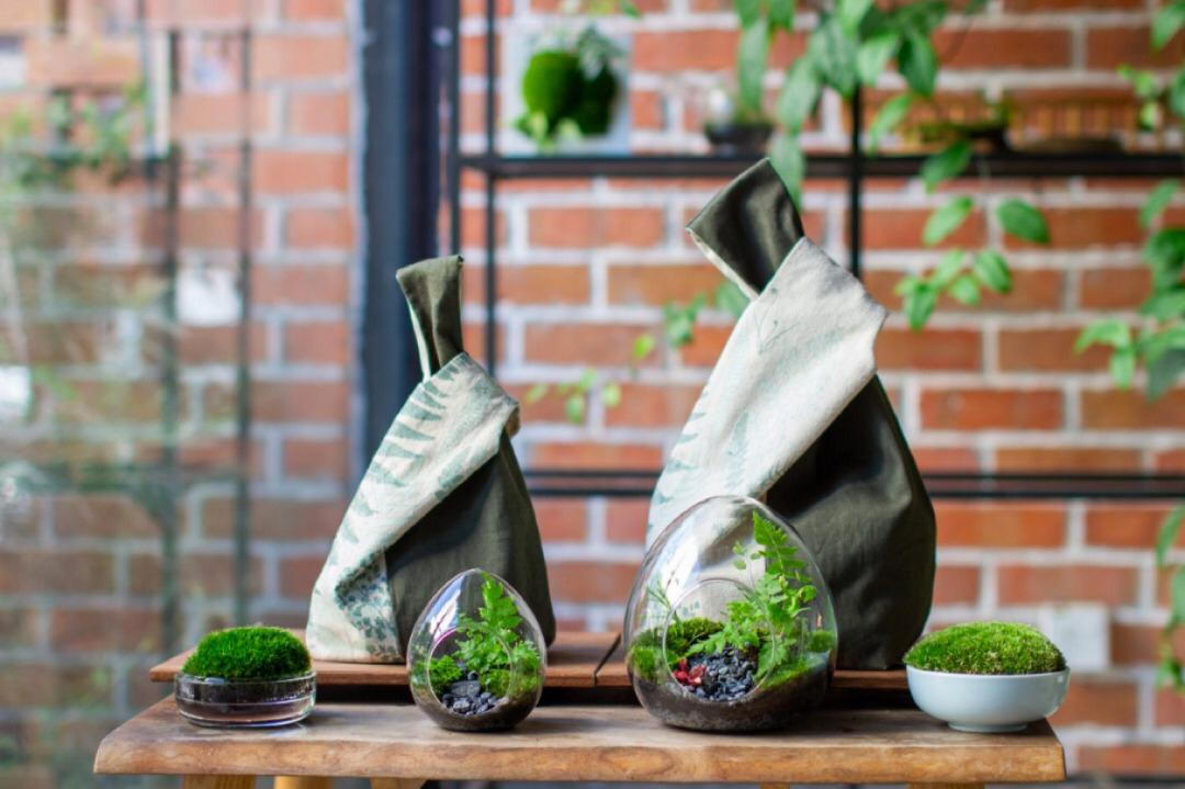 马来西亚森林玻璃盆栽DIY材料组（含邮寄到府）