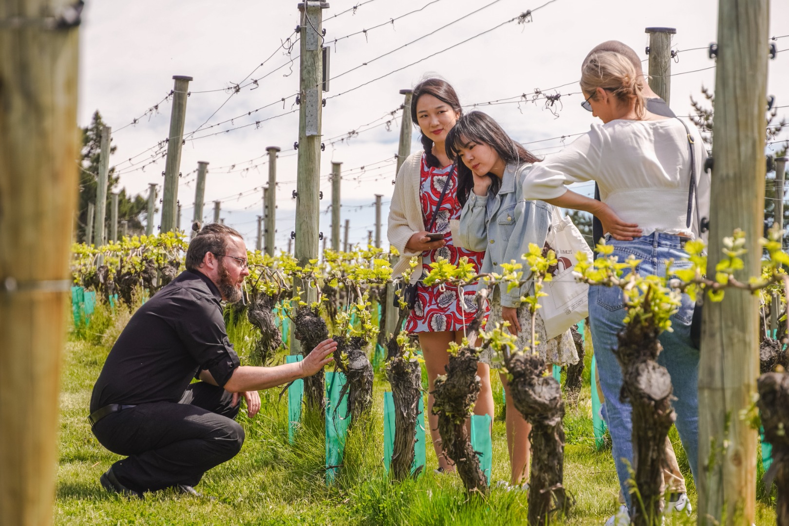 吉布斯顿谷酒庄之旅