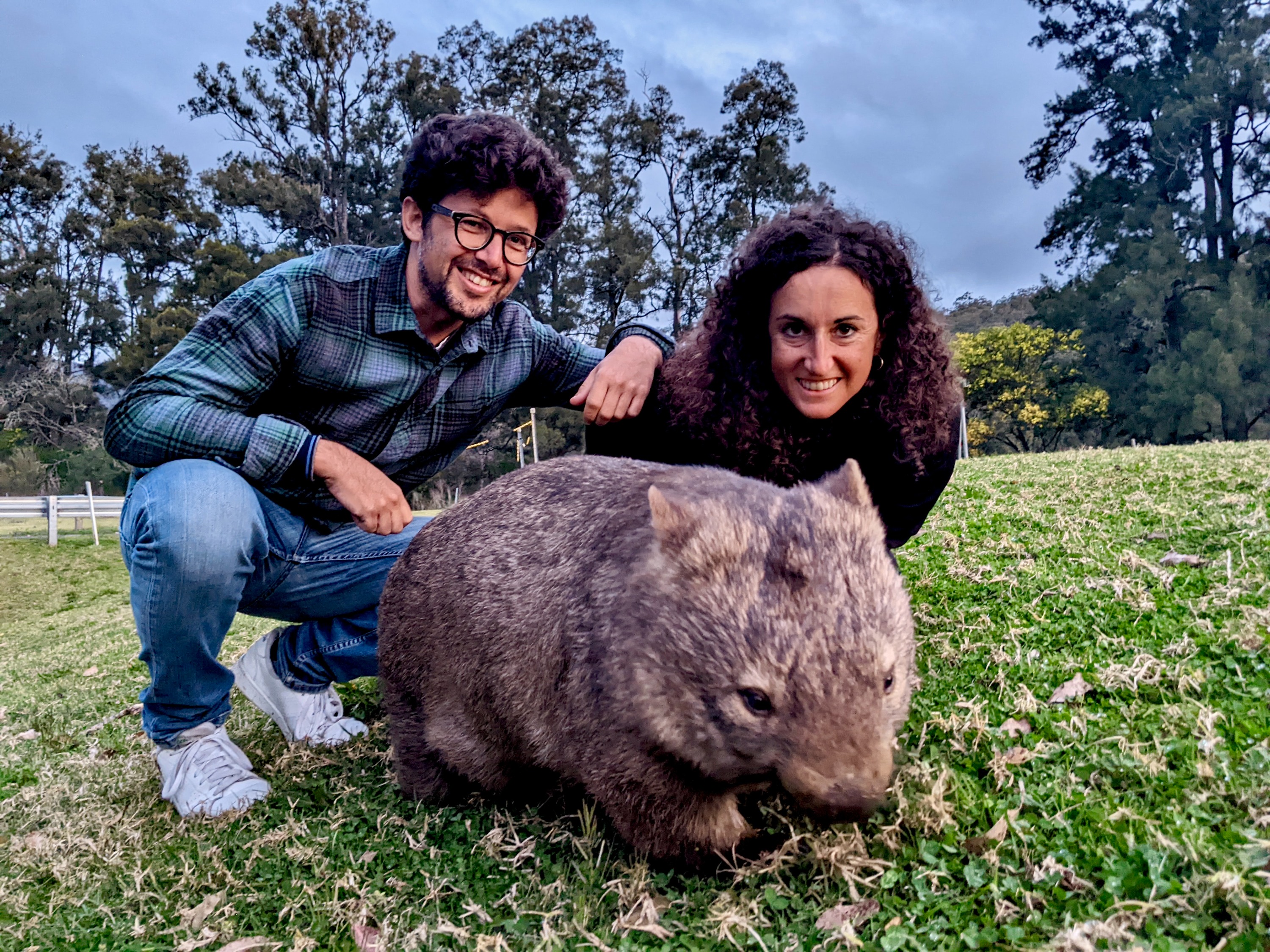 袋熊＆袋鼠＆瀑布全包一日游