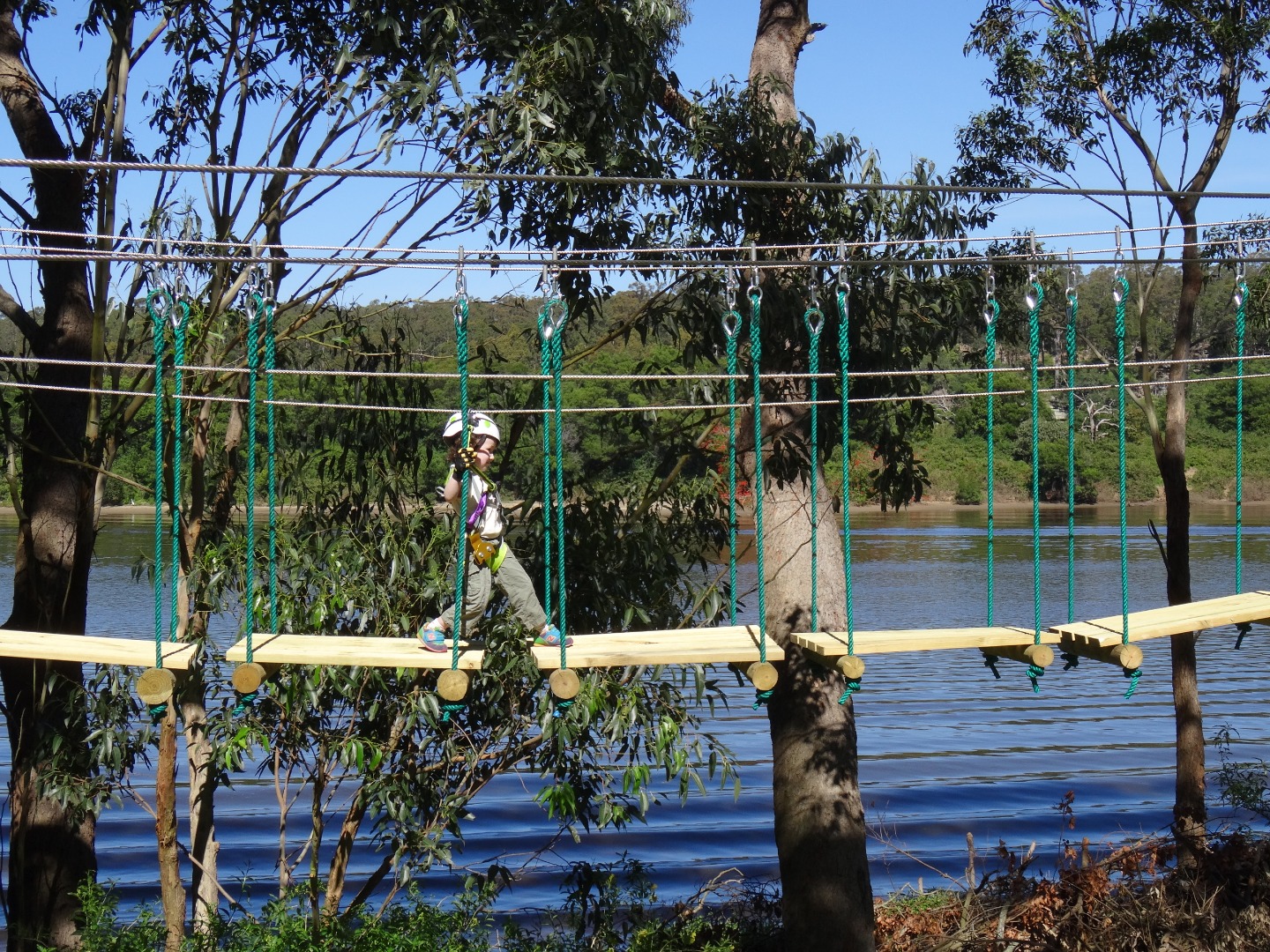 诺拉树顶漫步＆飞索体验