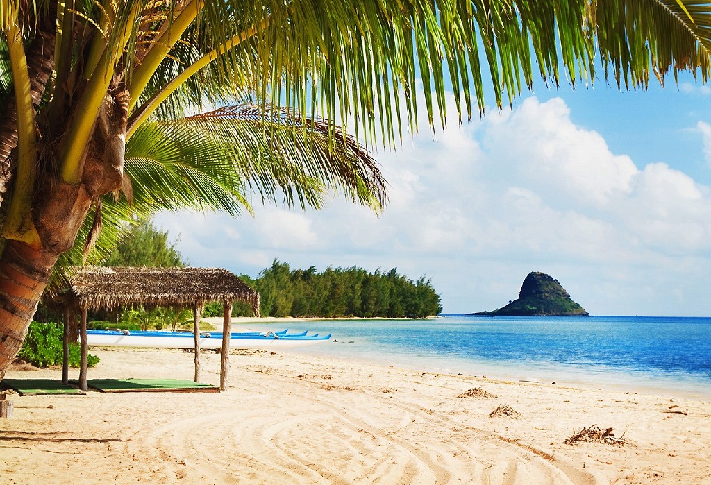 美国夏威夷古兰尼牧场神秘岛海滩之旅