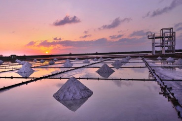 包车游览｜台南海线一日游：北门＆盐田夕阳＆四草绿色隧道