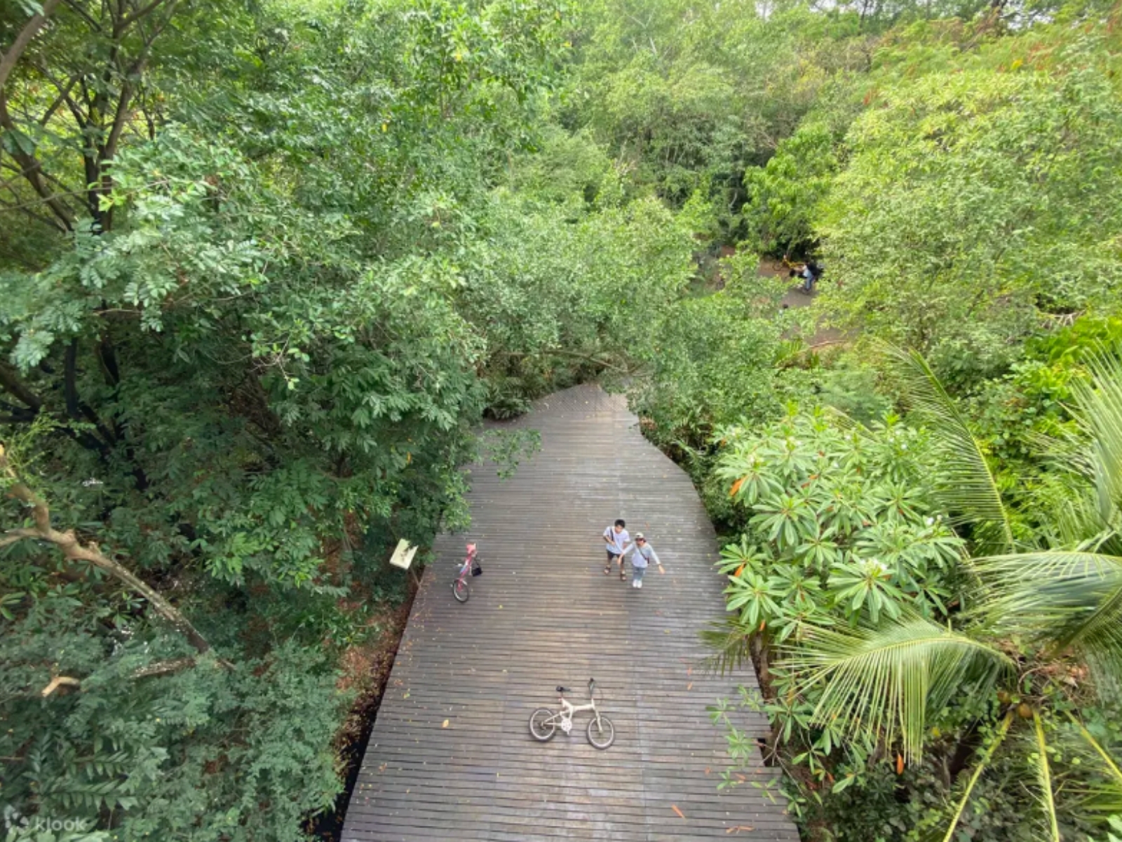 曼谷绿肺邦喀造自行车＆自然之旅