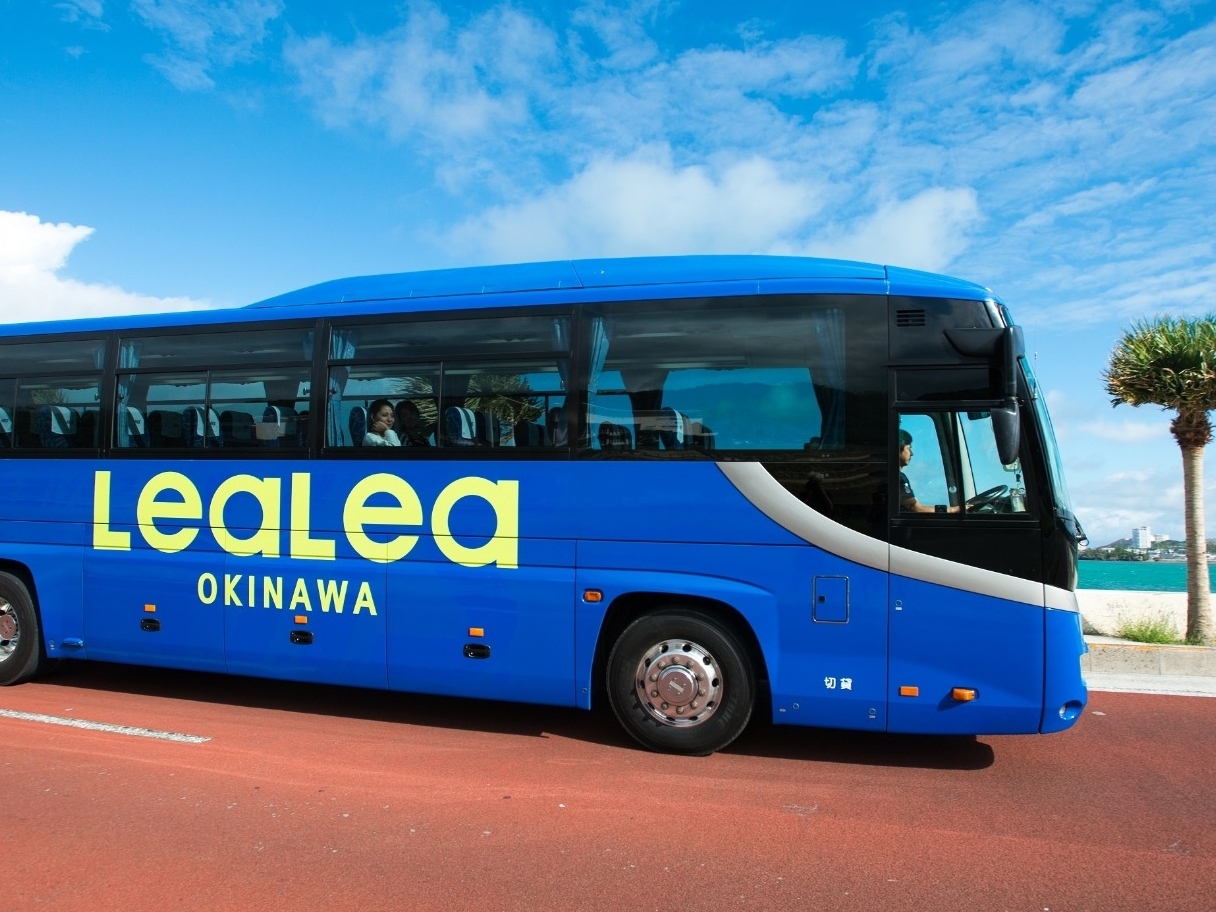 美滨美国村巴士票