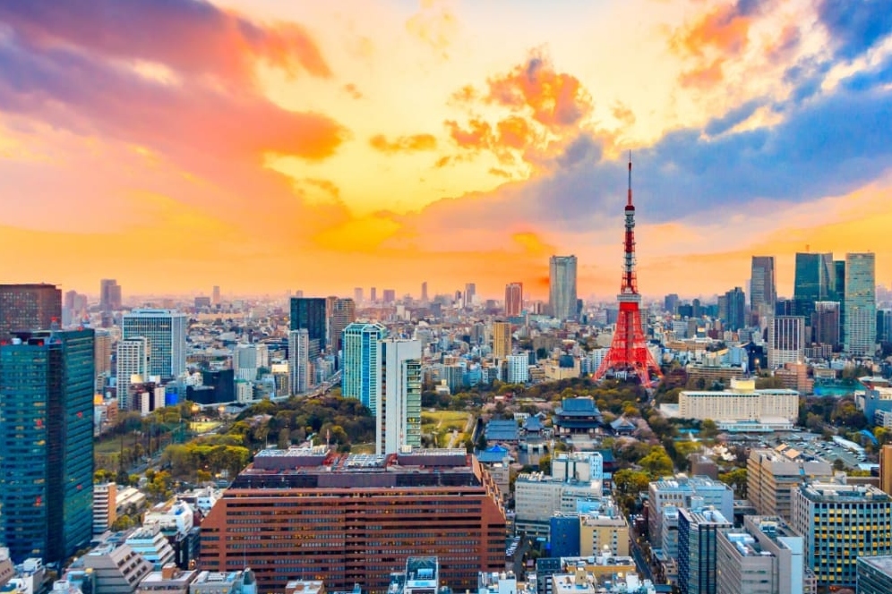 东京游船停泊观光一日游（横滨港出发）