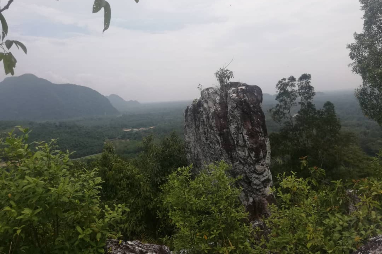 怡保丛林徒步体验