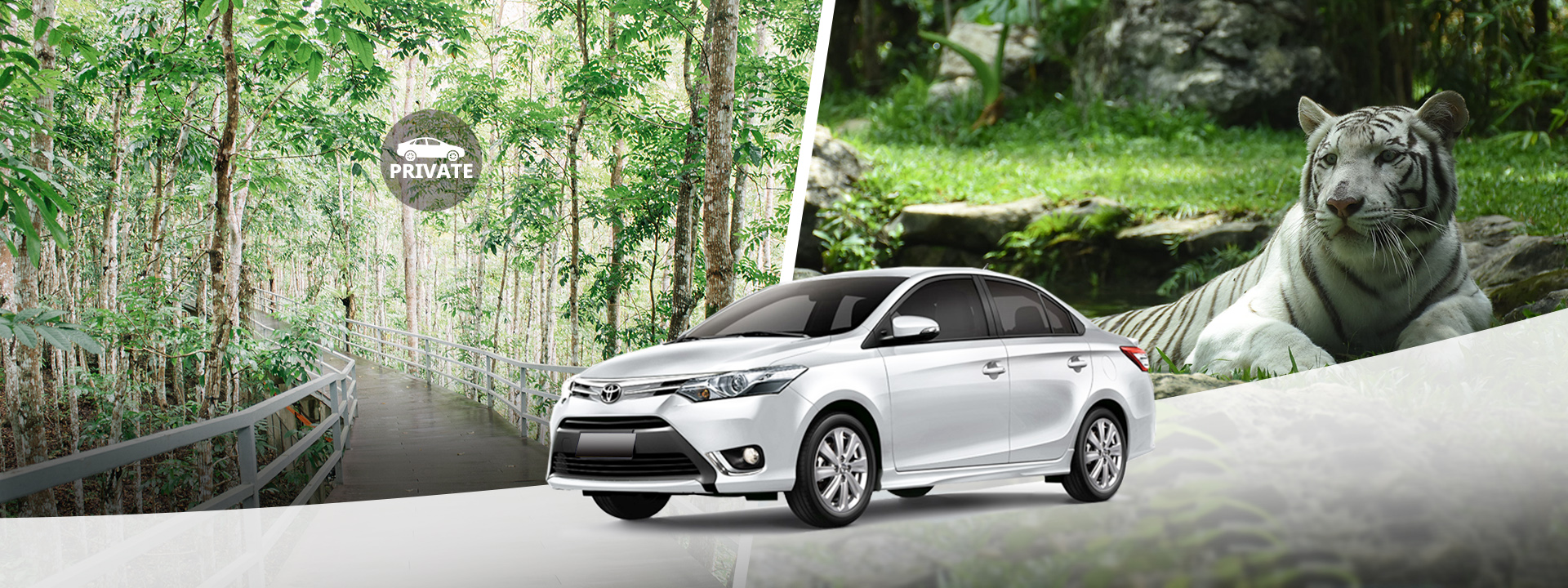 宿雾野生动物园 - 宿雾市区／麦克坦岛包车接送